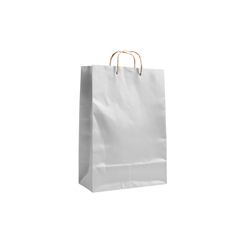 Custom Paper Shopping Bag Printing in Pakistan