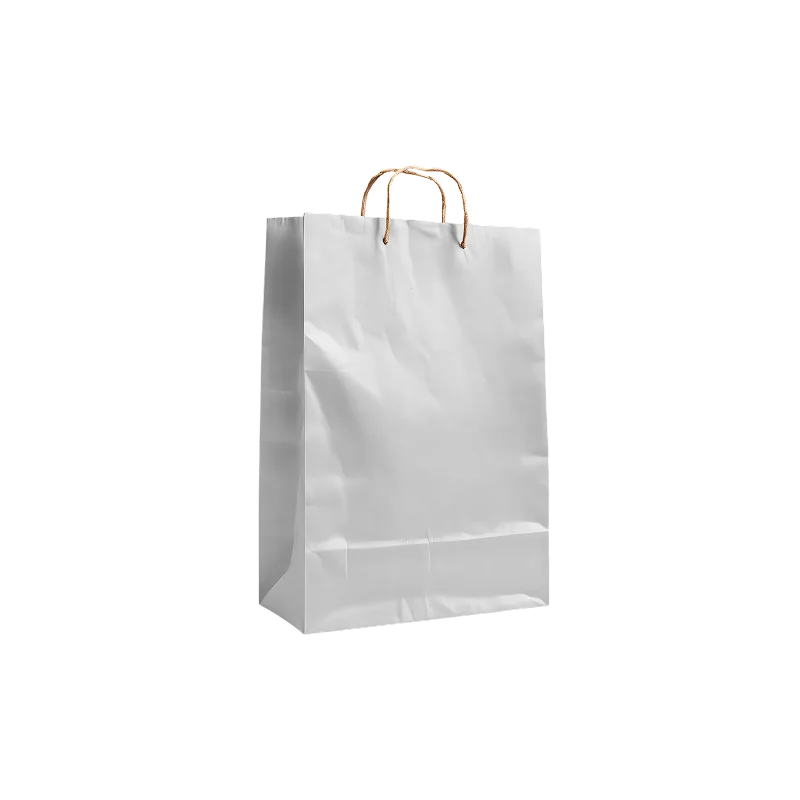 Custom Paper Shopping Bag Printing in Pakistan